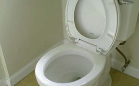 第一次上坐式馬桶作文500字