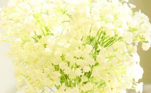 滿天星的作文300字