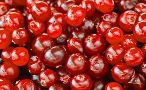 蔓越莓的營養(yǎng)價值與食用功效