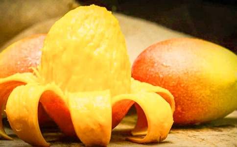 難忘的摘芒果之旅作文