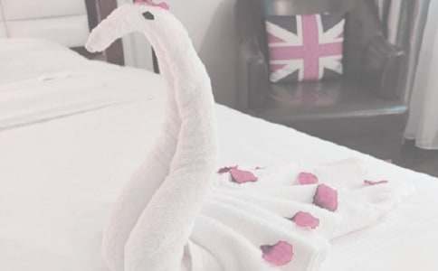 我的舊毛巾抗議了作文