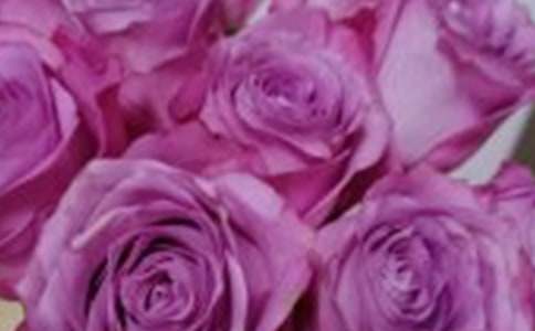 玫瑰的余香作文