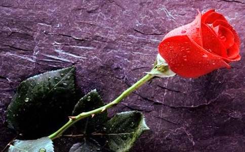 ��õ��Ѫ����һ800���������ķ���