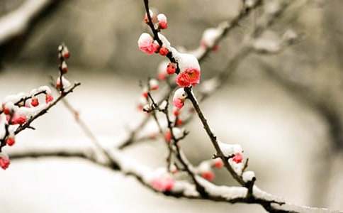 �茑÷���������~�Z���\