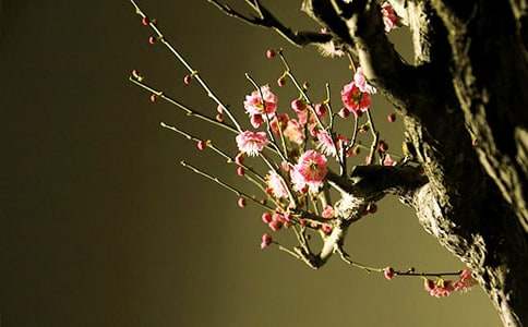 ٝ��÷���~�Z