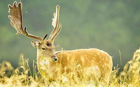 С÷��¹��С���Ӄ�(y��u)������