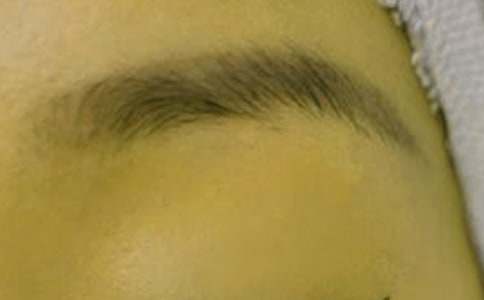 üë��ĸ�������