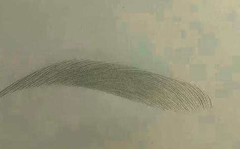 眉毛的自述小學(xué)作文300字