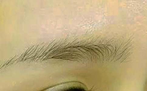 父親的眉毛作文_描寫爸爸900字