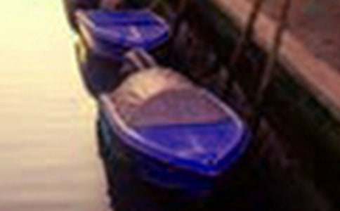 贊美西湖美景的作文500字