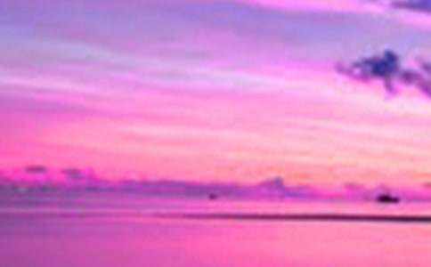 大連的美景作文500字(精選33篇)