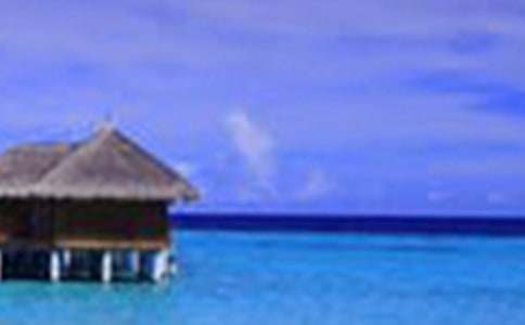 大連美景作文600字