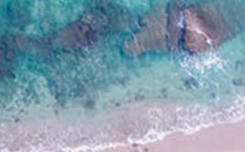 �P(gu��n)����������������