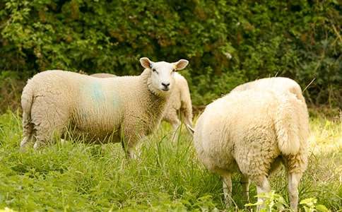 С�d���Сɽ��ͯԒ����