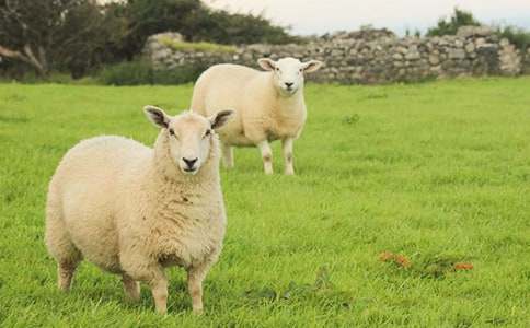 ���cС�d���ͯԒ����