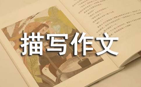 我的弟弟描寫作文400字