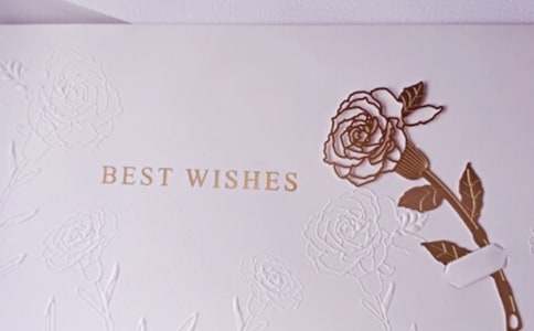 �P(gu��n)�ڌ��o���ӵ�����Ƭ���Z