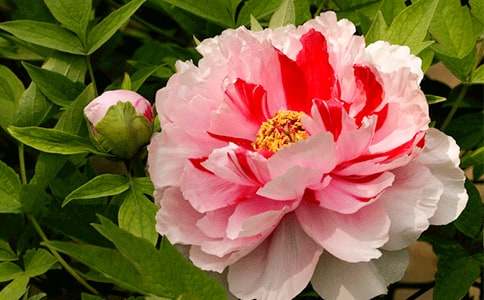 ���l(xi��ng)������ĵ��