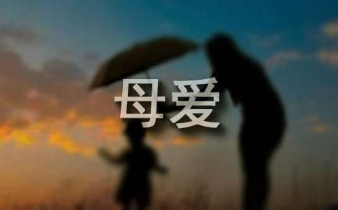 在愛的包裹下獨(dú)立(關(guān)于對(duì)母愛的贊美的作文)