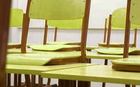 再見我的母校抒情作文