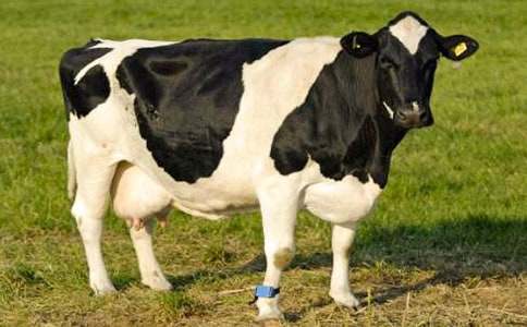 �^����ţ����