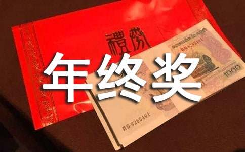 年終獎(jiǎng)金分配方案(精選16篇)