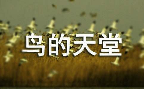 鳥的天堂教學(xué)隨筆(精選11篇)
