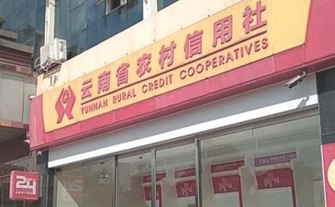 農村信用社融資租賃合同