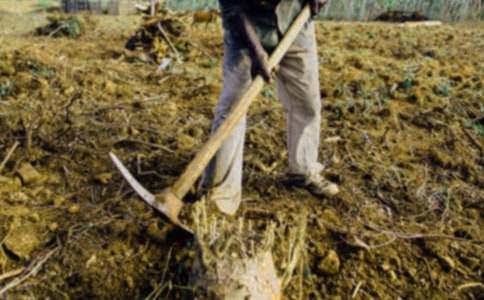 《農(nóng)夫耕田》閱讀答案