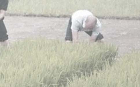 干農(nóng)活作文300字(精選18篇)