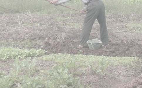 �W�r(n��ng)�������500��