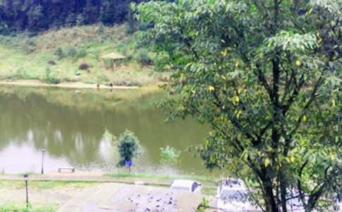 農(nóng)家樂作文1000字