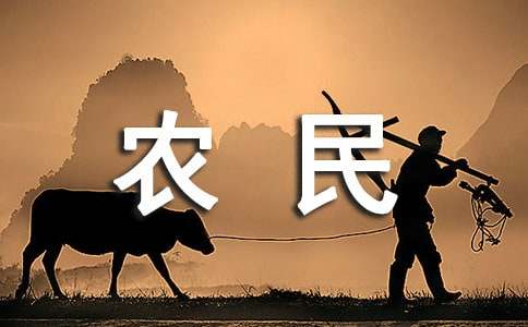 農(nóng)民父親作文(精選29篇)