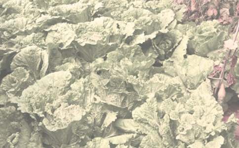 �����r(n��ng)������~�Z(y��)