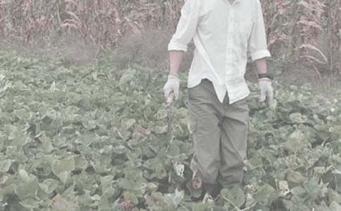 精農作物種子買賣合同