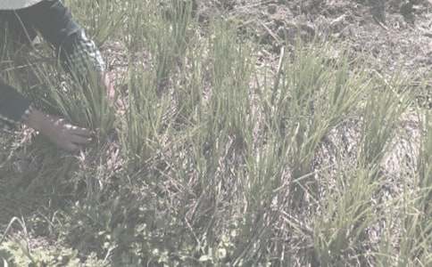 �������r(n��ng)����N��ُ�I��ͬ��