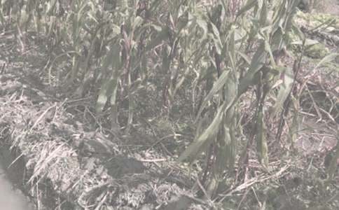 �r(n��ng)����N���I�u��ͬ �N���I�u��ͬЧ��