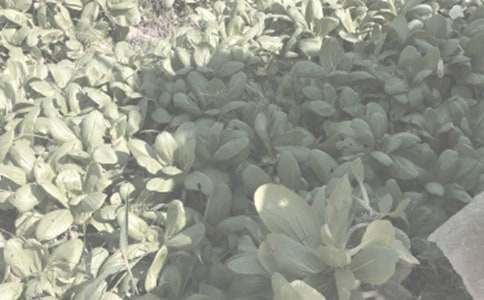 �r(n��ng)�����V�Z150��