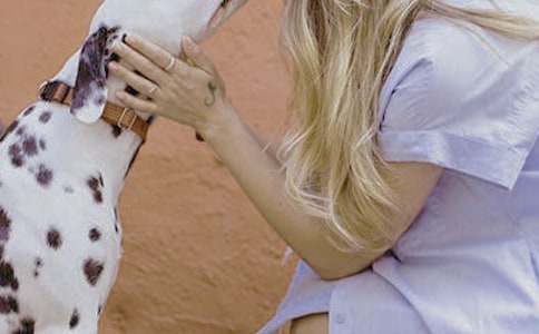 贊美女性的四字詞語(yǔ)大全