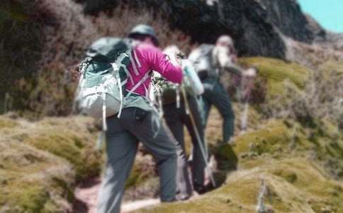 爬山作文650字(精選37篇)