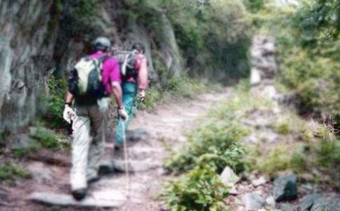 ��ɽ����Ȥ��������