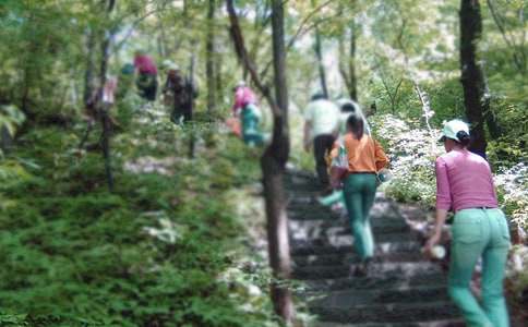 ��ɽԒ�}����[�]]