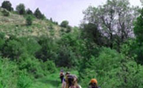 ����Ƭ�G�G����ɽ�����̌W(xu��)��˼����