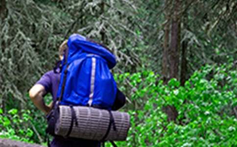 ��ɽ���µ����ķ���5ƪ_��������300��