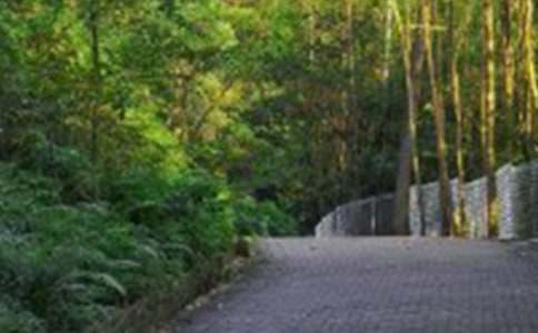 課余生活——爬山作文