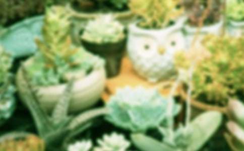 �Ҽҵ����Ԕ�������