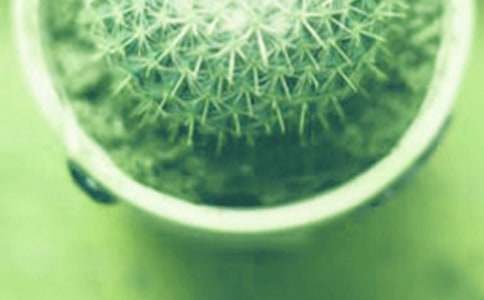 �U������ ���^���L(f��ng)��Ԋ��