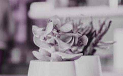 ��������300��3ƪ