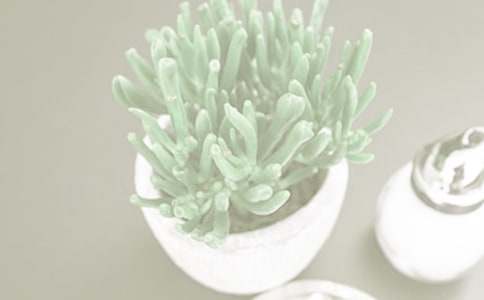 ��������400��4ƪ