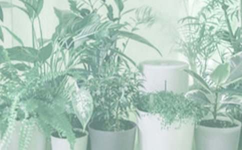 �ɘ����Ե�˼����������